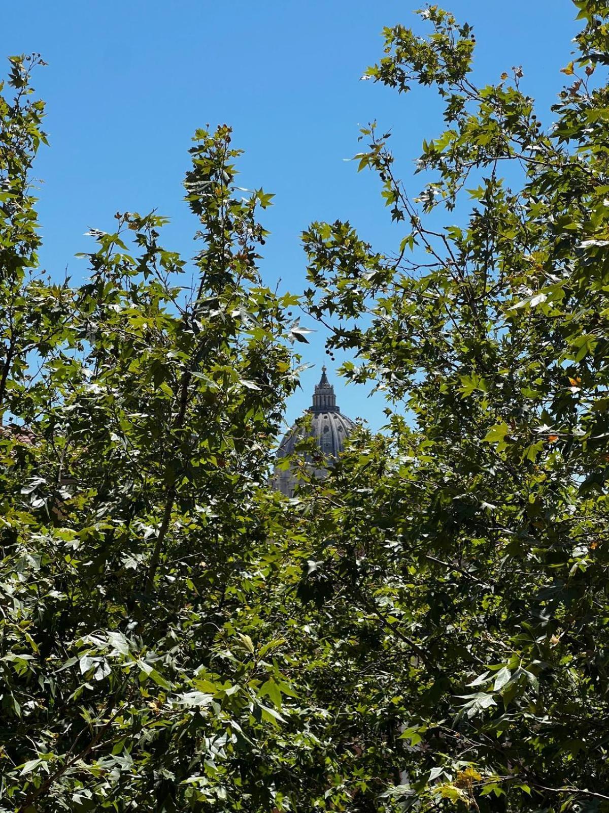 Doria Home-Saint Peter'S View, Rome